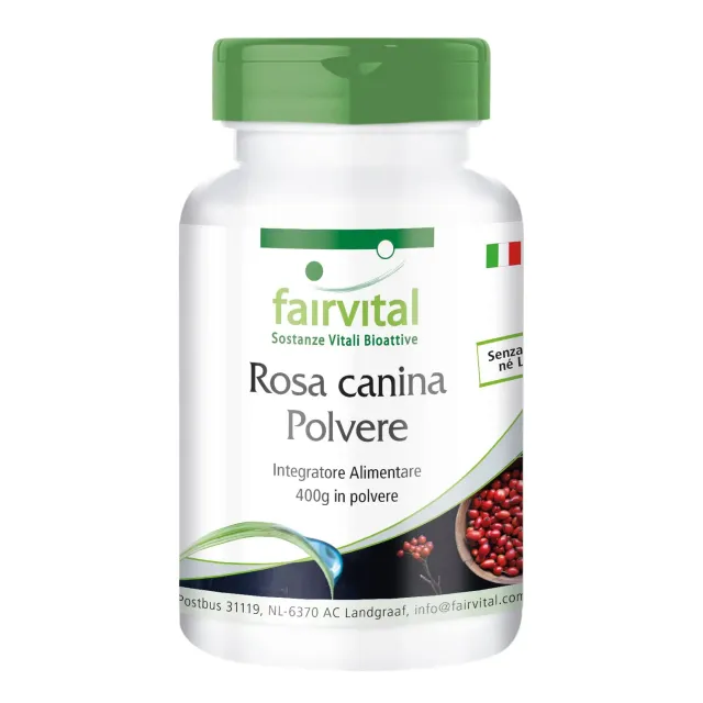FAIRVITAL Rosa Canina Polvere 400g Vitamina C Naturale