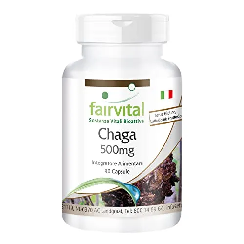 Fairvital Chaga 500 mg capsule 90 capsule vegane