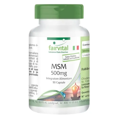 Fairvital MSM 500 mg capsule 90 pezzi alto dosaggio