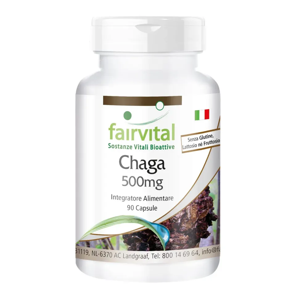 Fairvital Chaga 500 mg capsule 90 capsule vegane