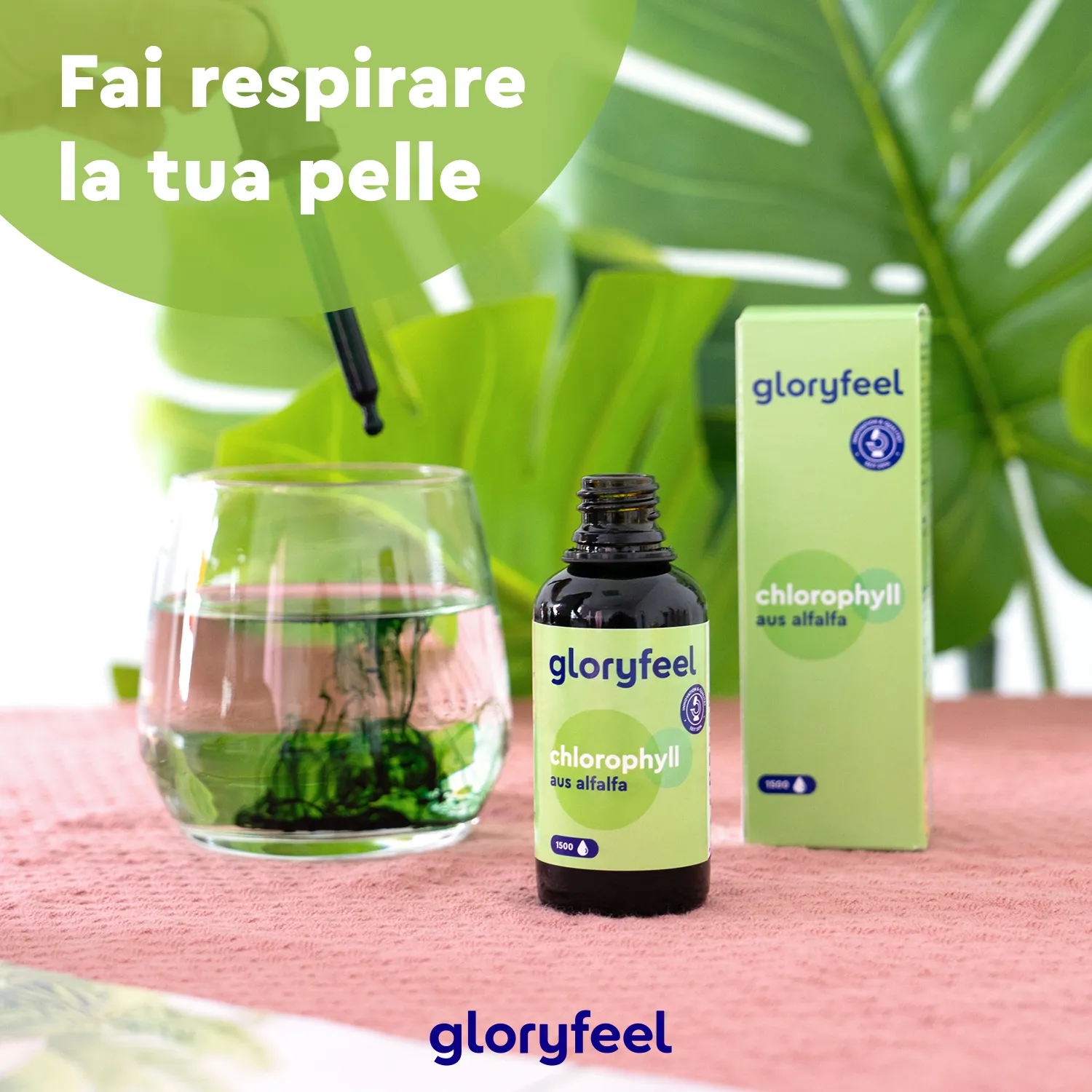 gloryfeel Clorofilla in Gocce da Alfalfa 50 ml