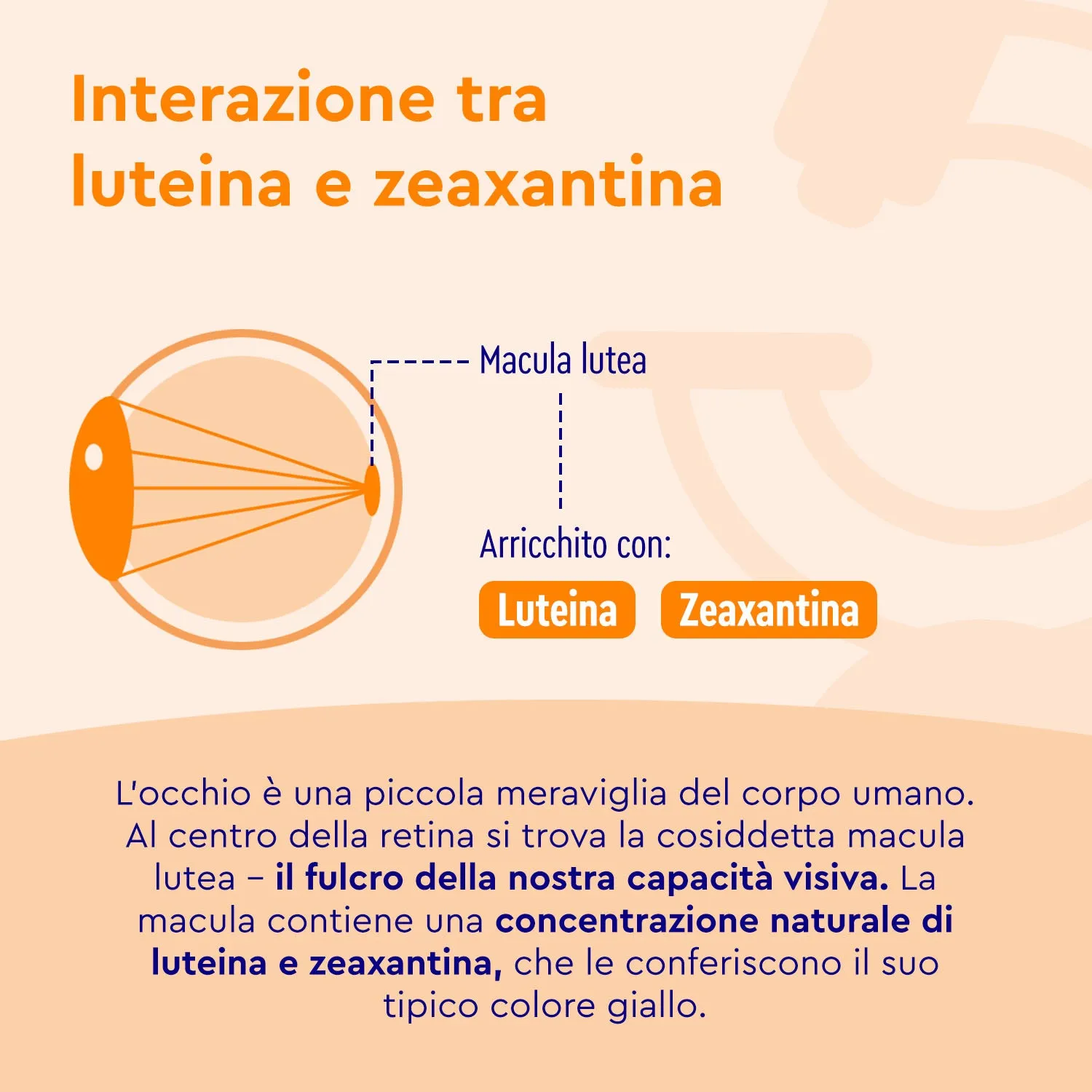 gloryfeel Luteina Capsule con Zeaxantina vegane