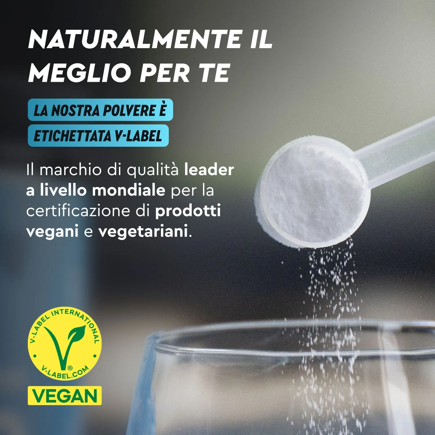 gloryfeel Magnesio polvere gusto limone bisglicinato malato