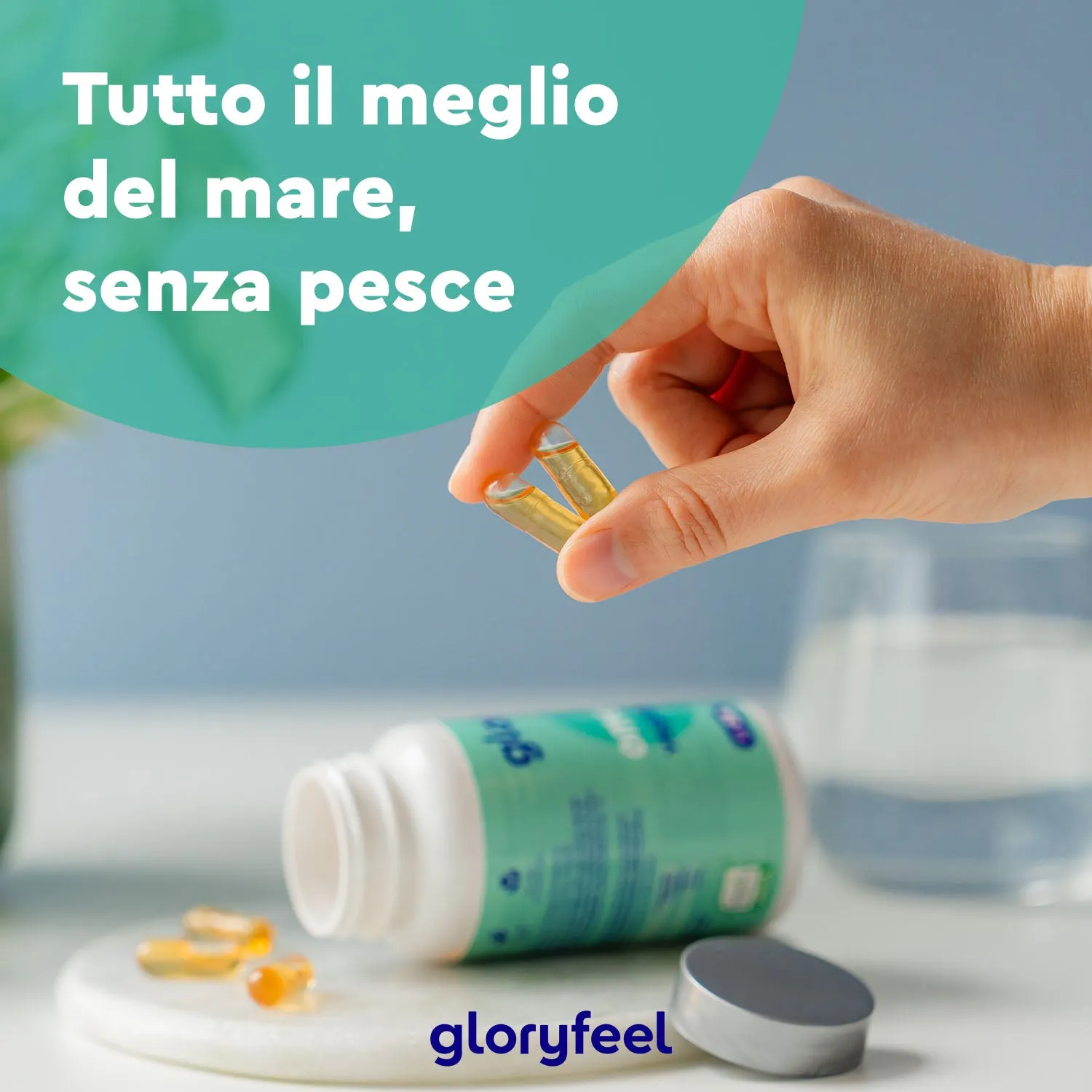 gloryfeel Omega 3 Vegan capsule 60 softgel EPA DHA