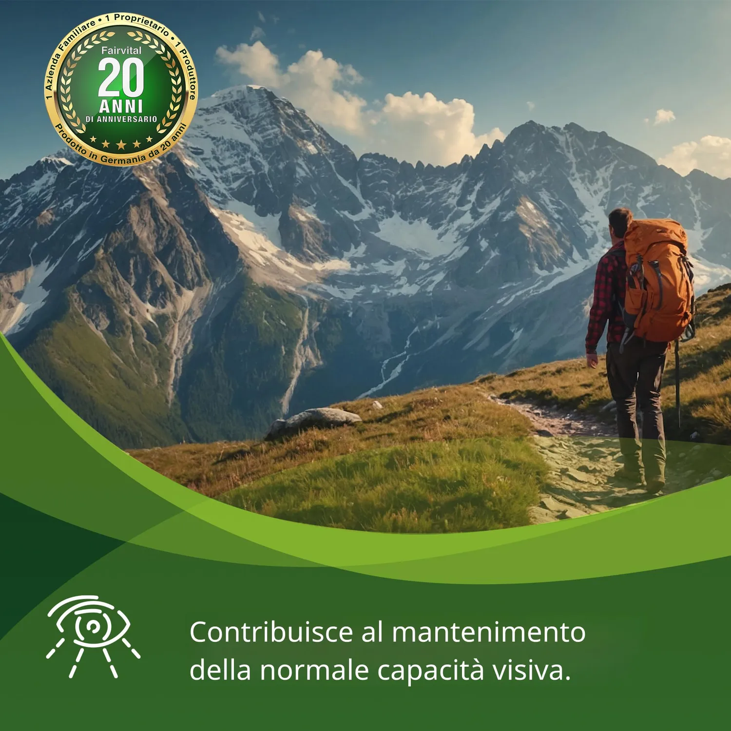 Fairvital Picolinato di Zinco 15 mg compresse 60 alto dosaggio vegano