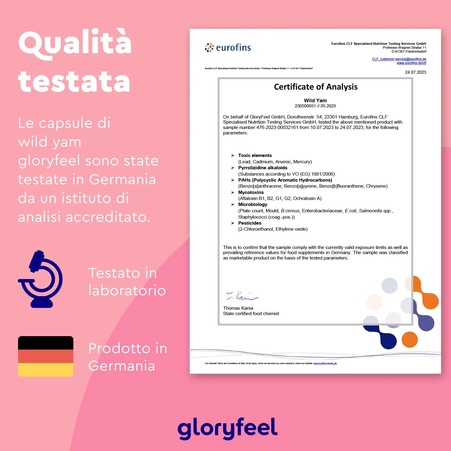 gloryfeel Wild Yam capsule igname agnocasto ferro