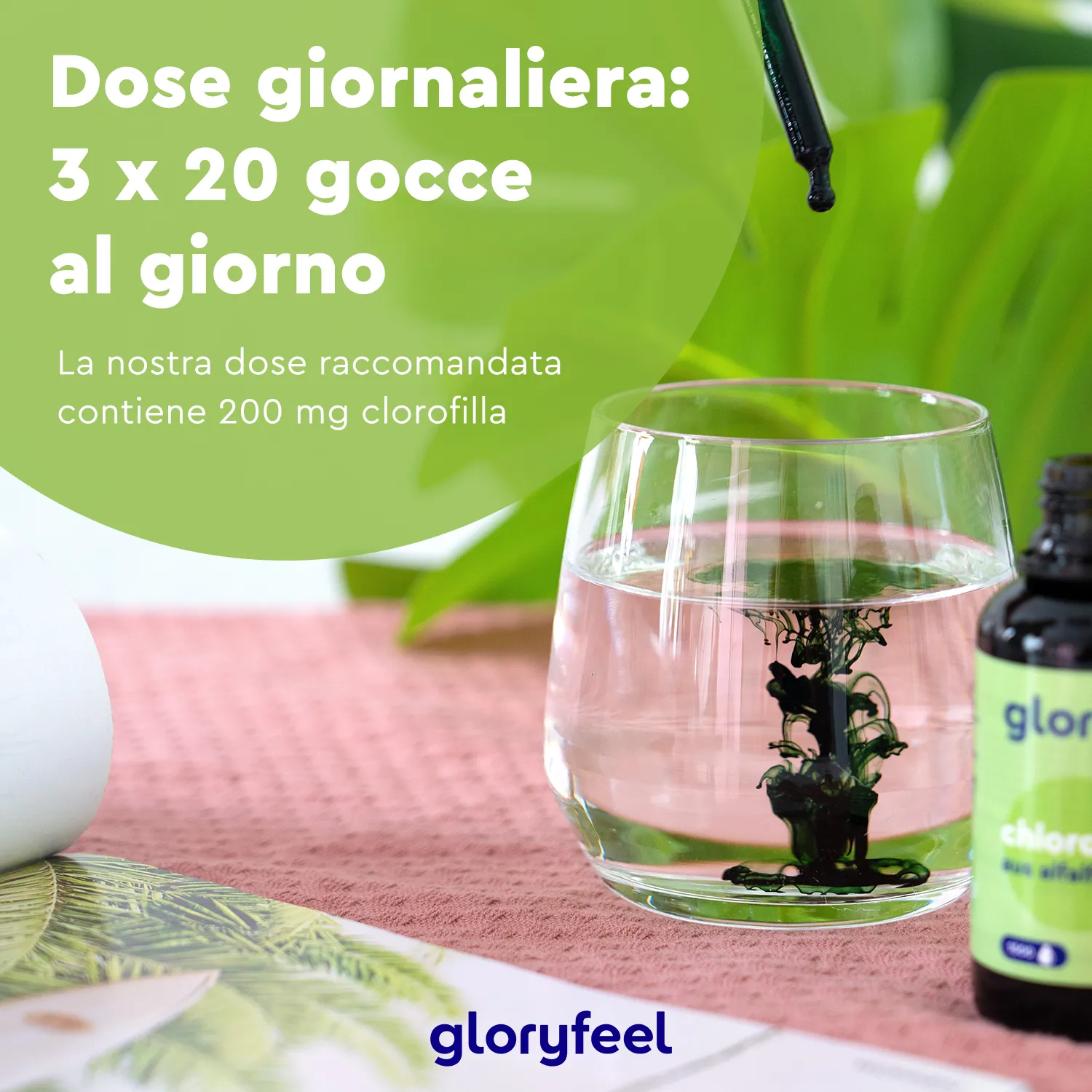 gloryfeel Clorofilla in Gocce da Alfalfa 50 ml
