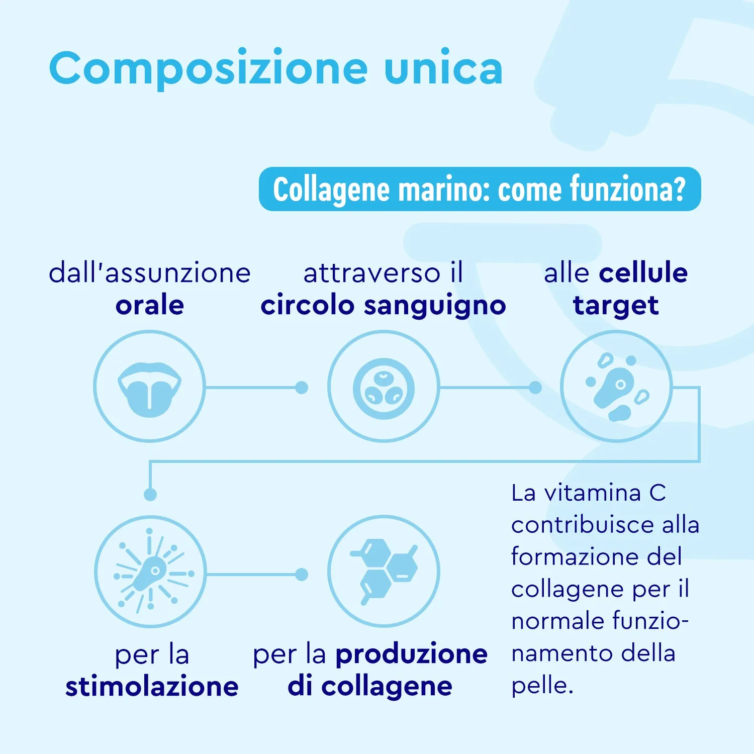 gloryfeel Collagene Marino in polvere VERISOL funzione muscolare