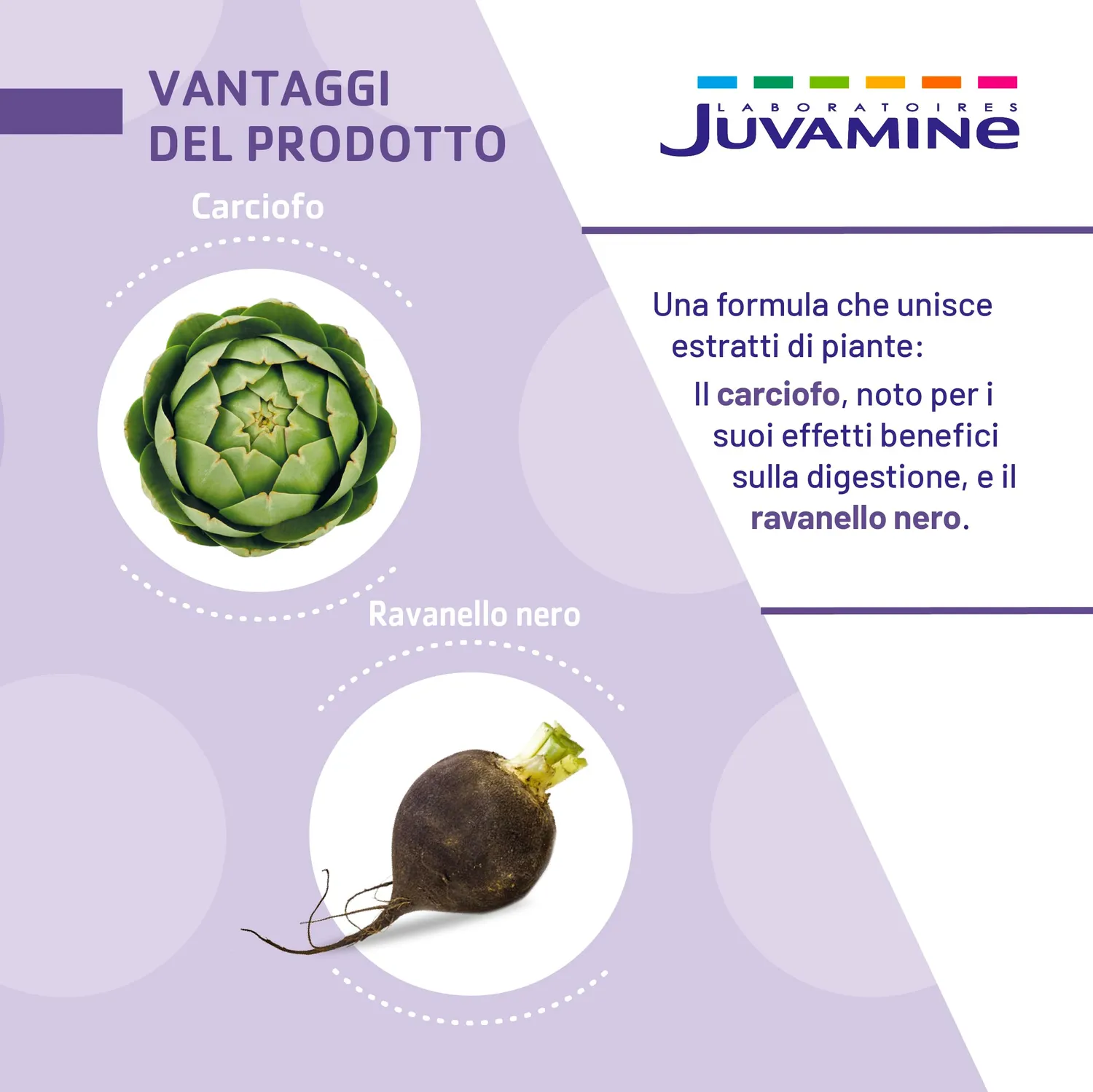 Juvamine Carciofo Ravanello Nero capsule 2 mesi detox