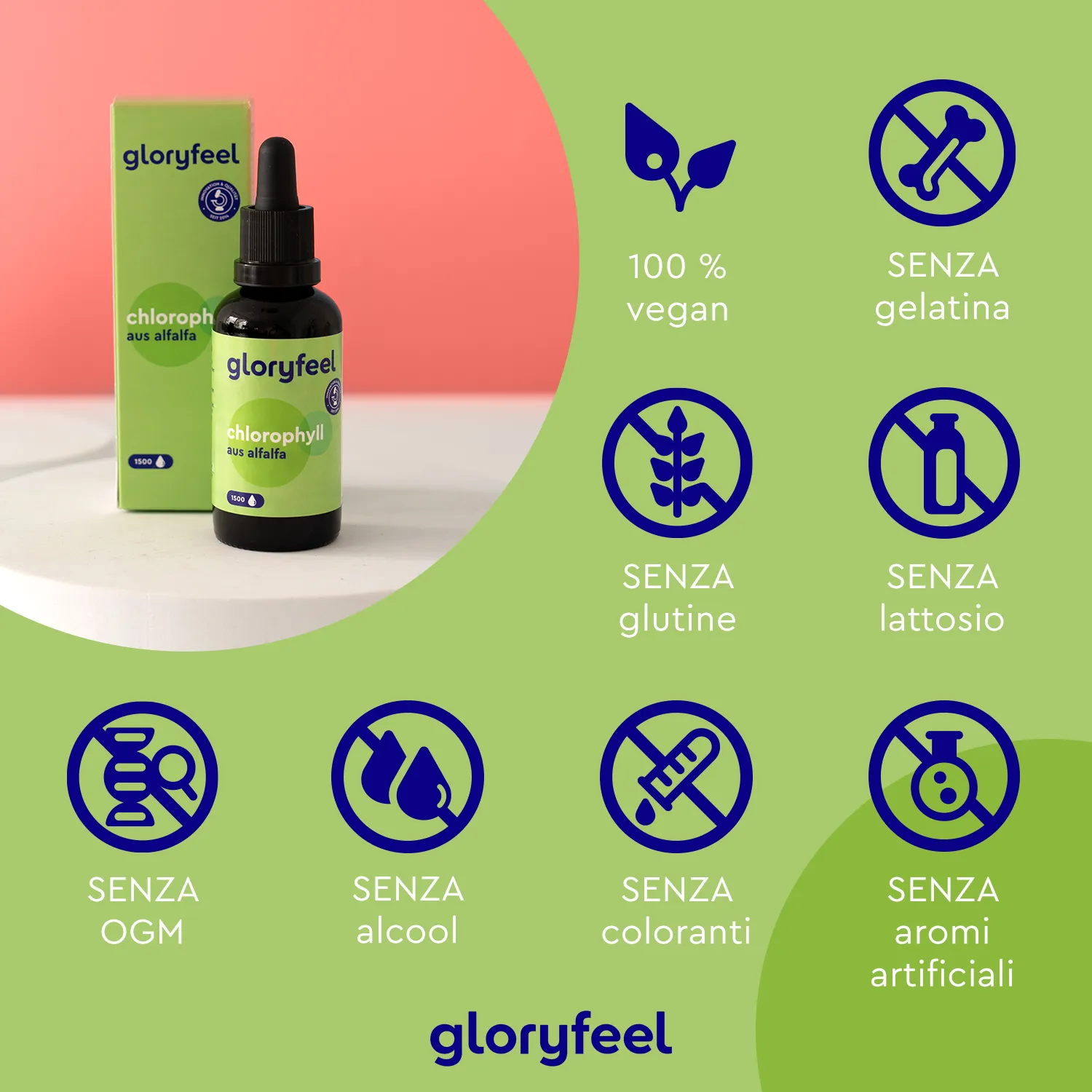 gloryfeel Clorofilla in Gocce da Alfalfa 50 ml