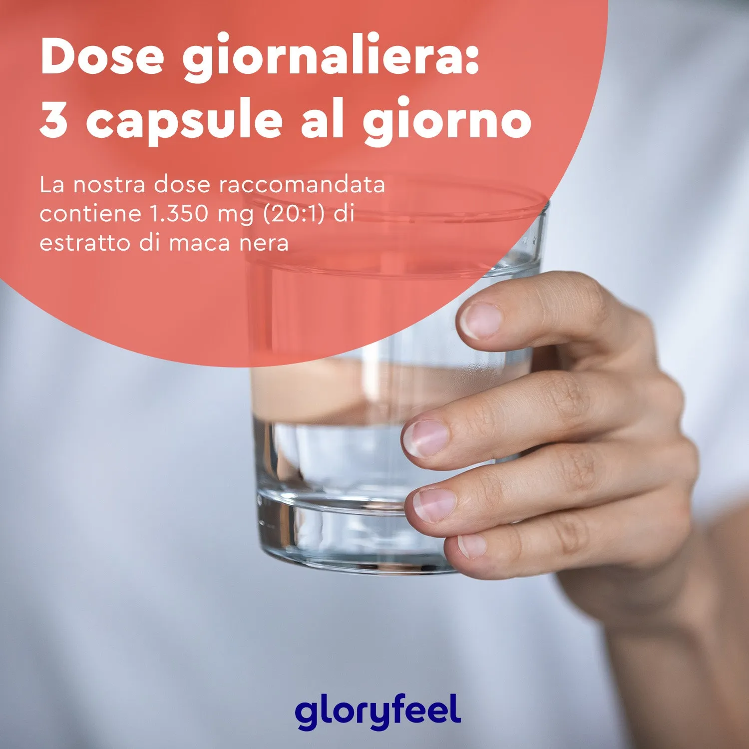 gloryfeel Maca Nera Peruviana capsule 120 capsule estratto 20:1