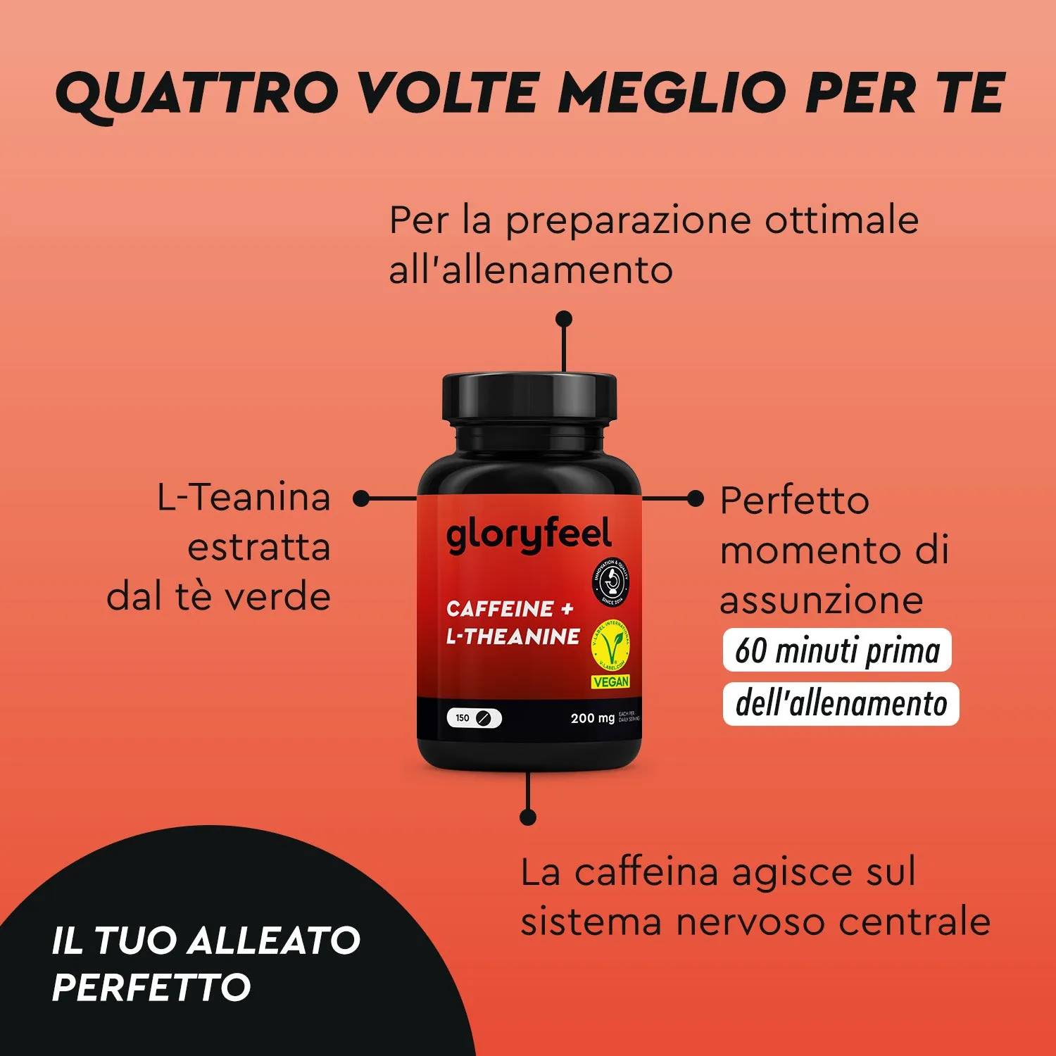 gloryfeel Caffeina + L-Teanina capsule focus tè verde