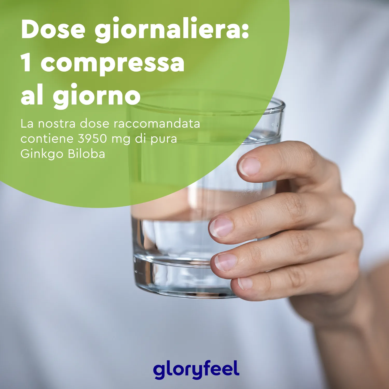 gloryfeel Ginkgo Biloba compresse 365 cps vegane