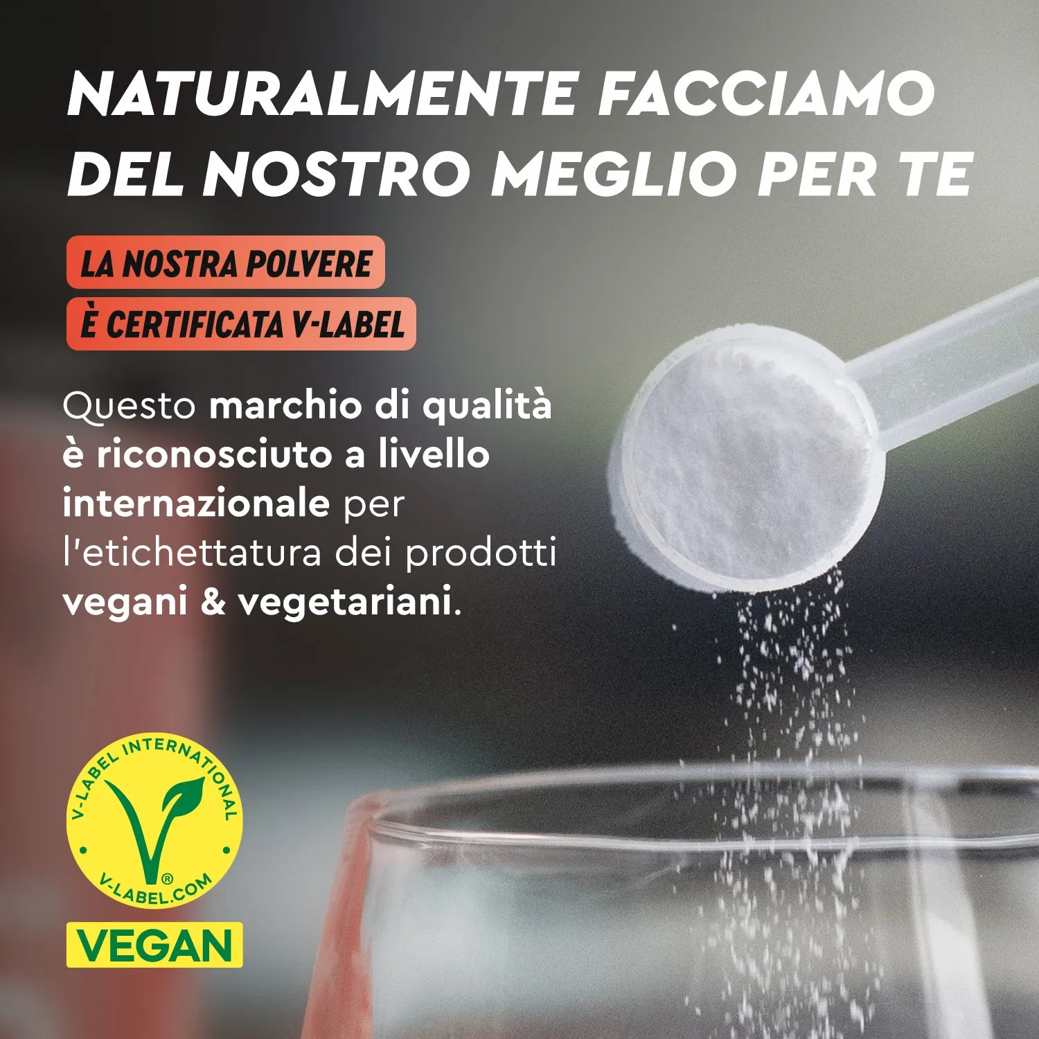 gloryfeel Glutammina in Polvere Integratore senza glutine