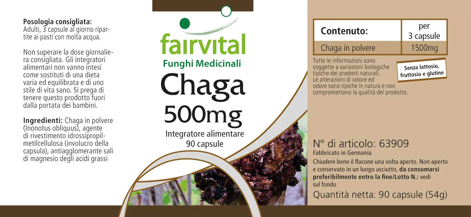 Fairvital Chaga 500 mg capsule 90 capsule vegane