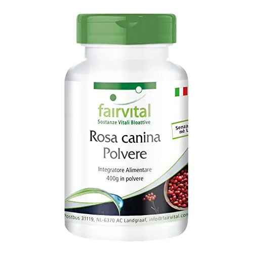 FAIRVITAL Rosa Canina Polvere 400g Vitamina C Naturale