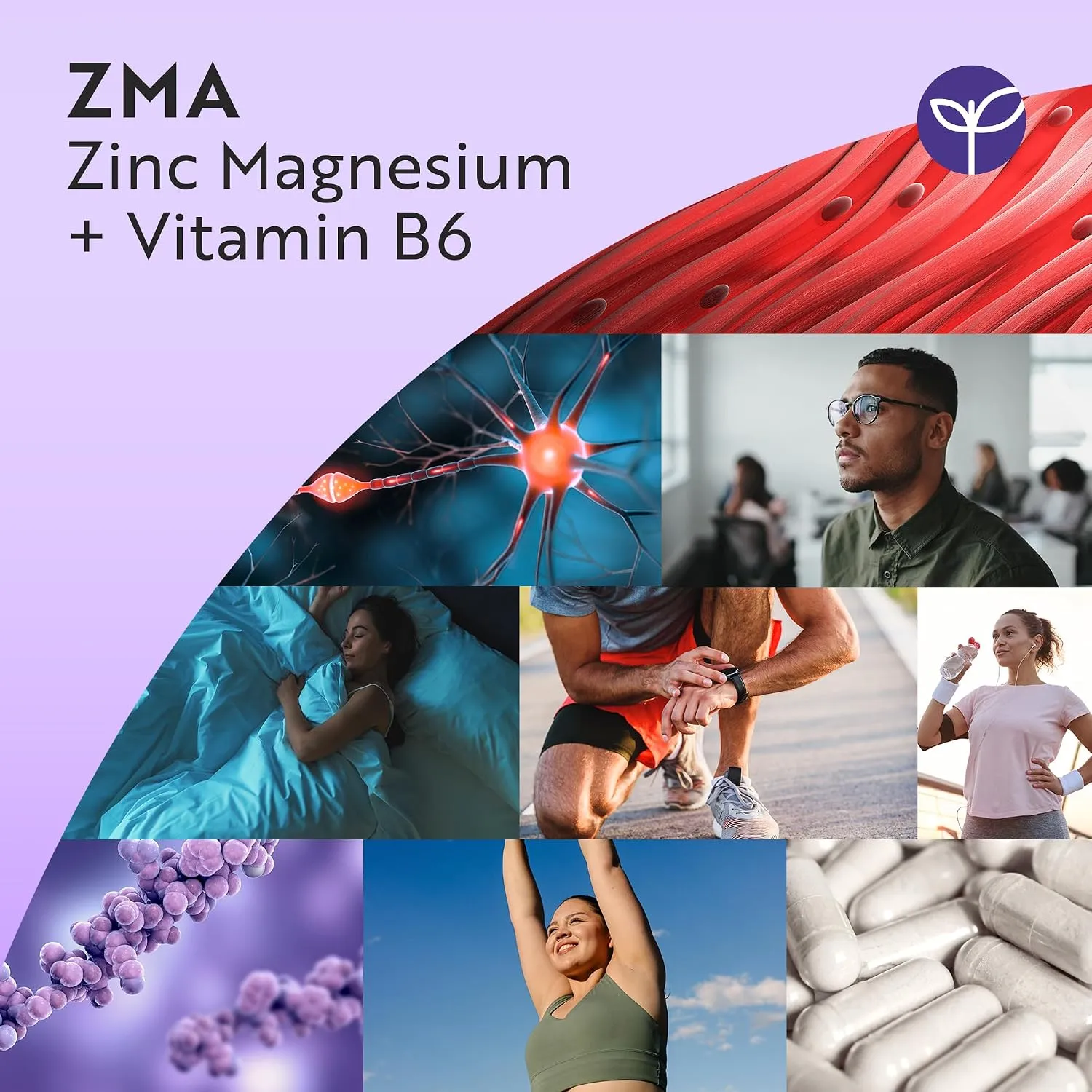 Nutravita ZMA Supporto Muscolare Capsule 120 Vegane